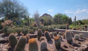 Property grounds - Secluded House w/ Heating + Living Room (Phoenix)