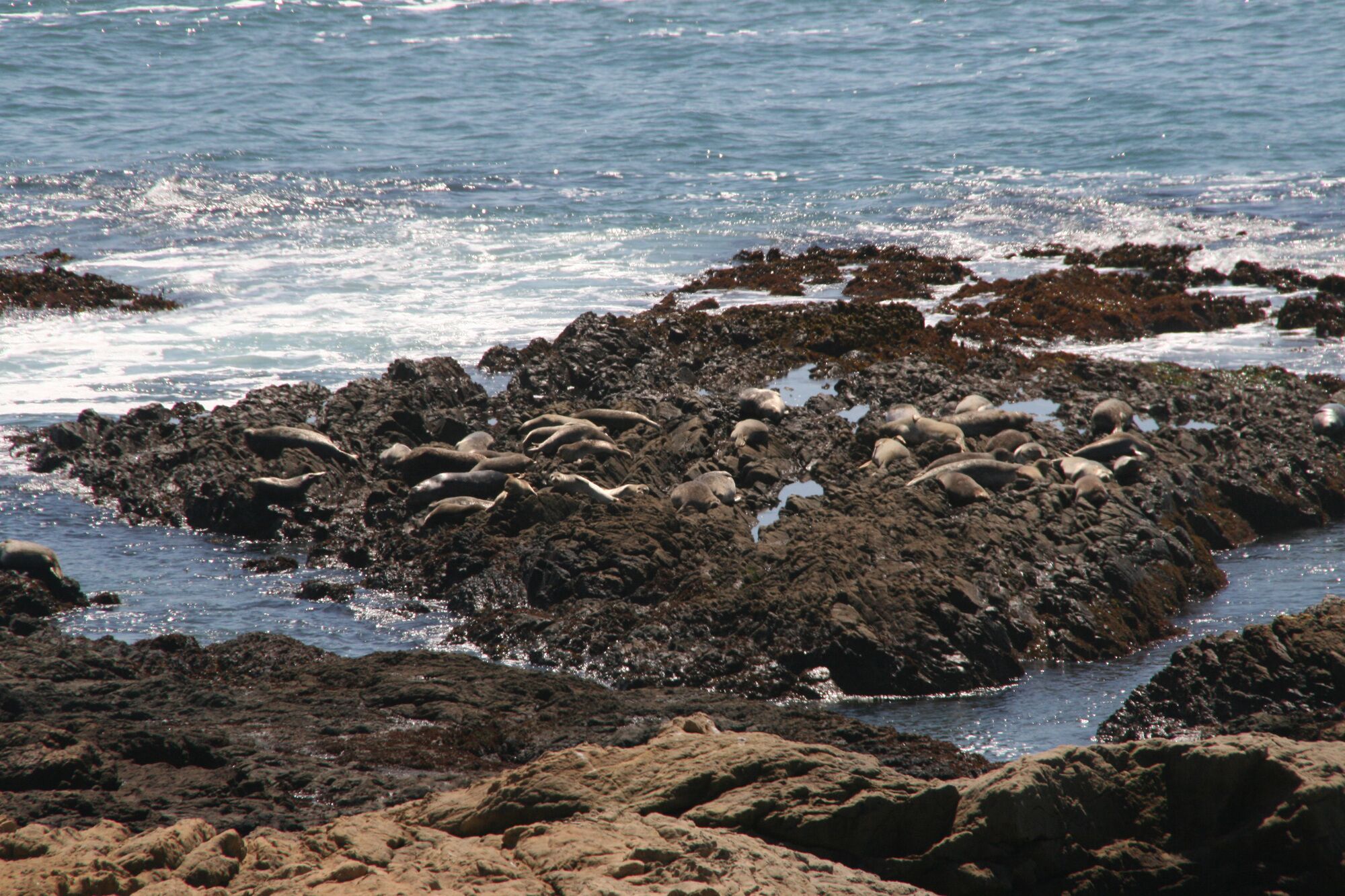 private jacuzzi room
