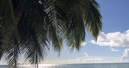 Beautiful One- Bedroom Unit across PauPau Beach