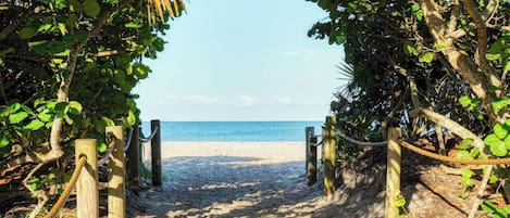 Sun-loungers, beach towels