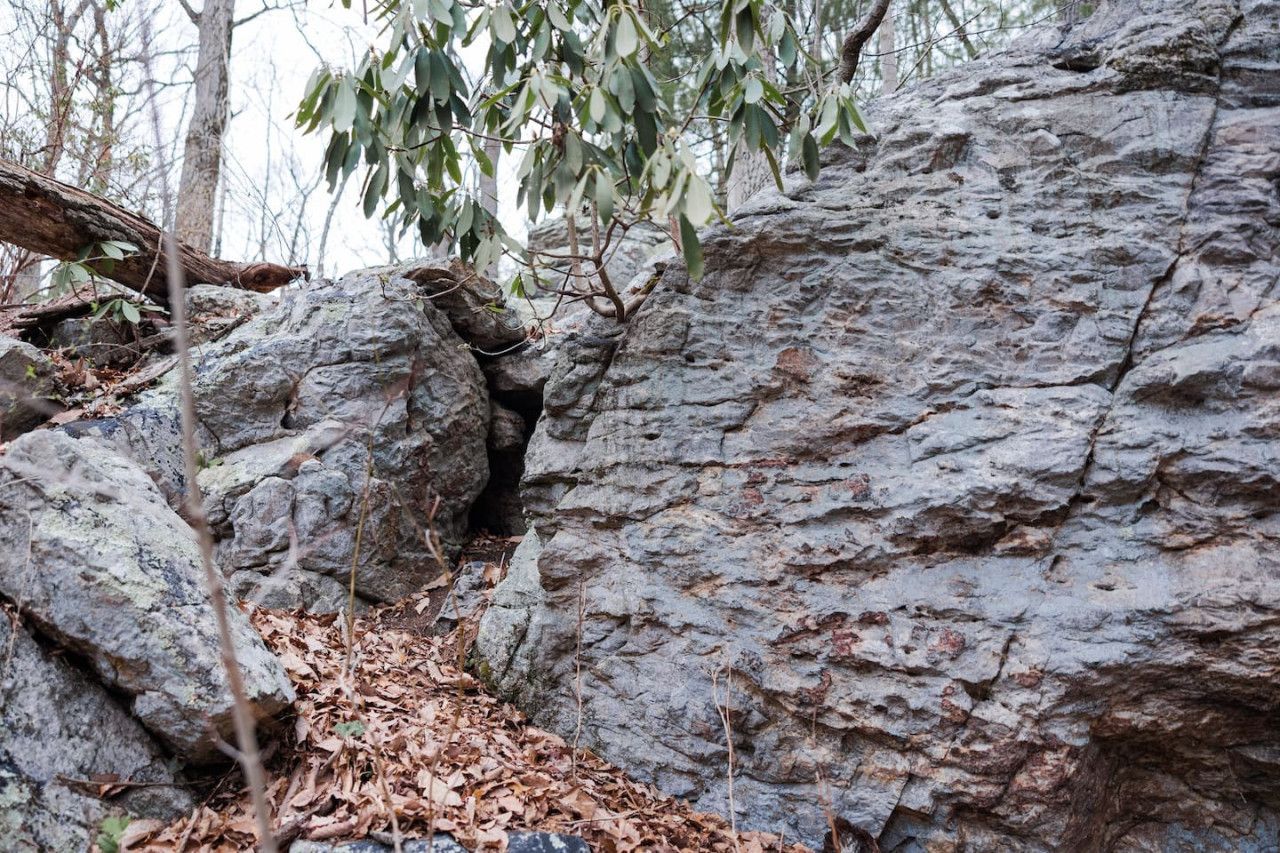 Terreno rocoso con grandes rocas y vegetación escasa.