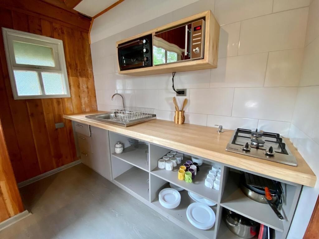Full-size fridge, microwave, oven, dishwasher