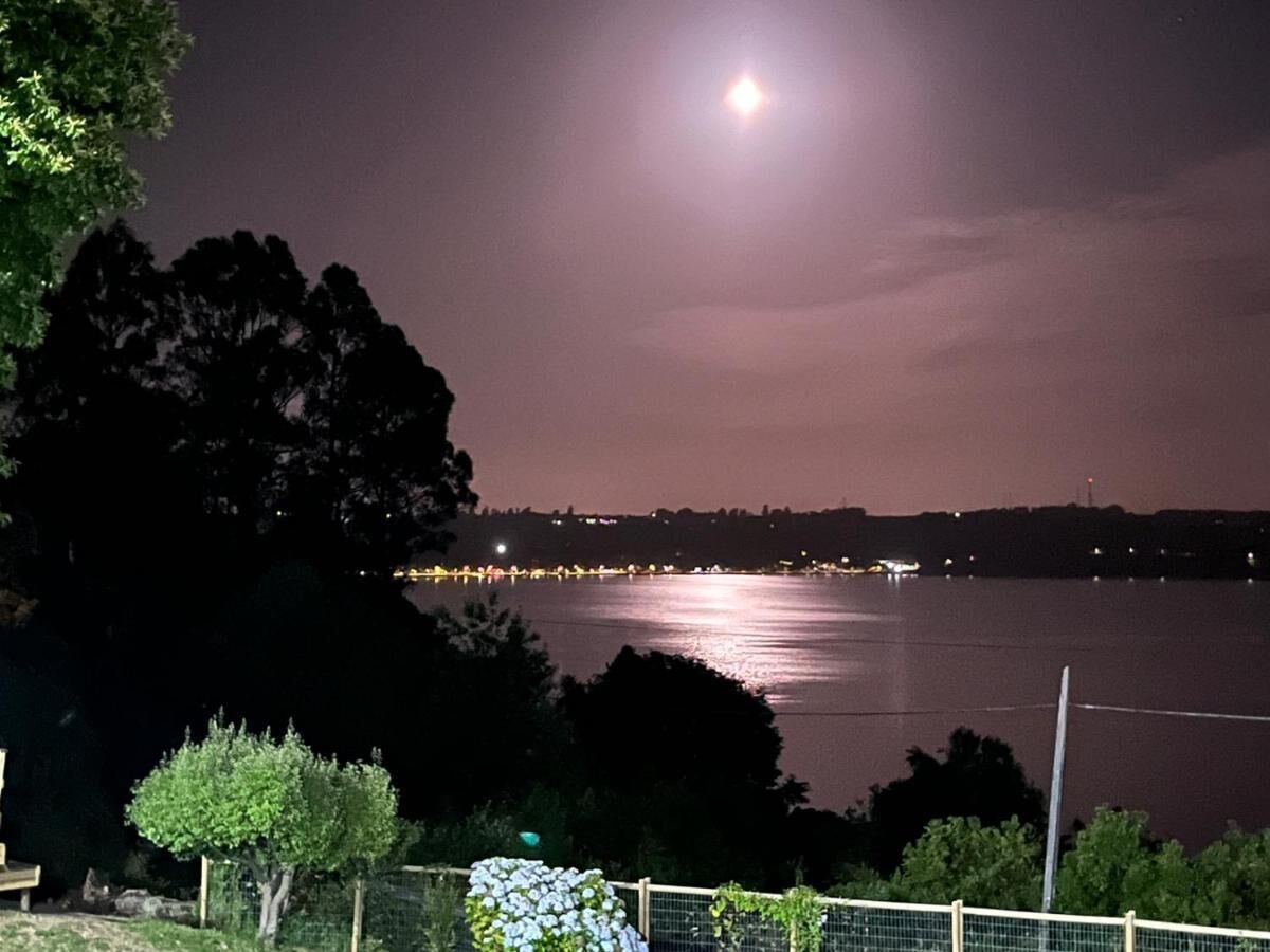 A nighttime view of a body of water with a full moon, trees, and a distant shoreline with lights.