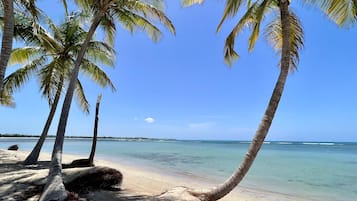 Nära stranden, solstolar och strandhanddukar