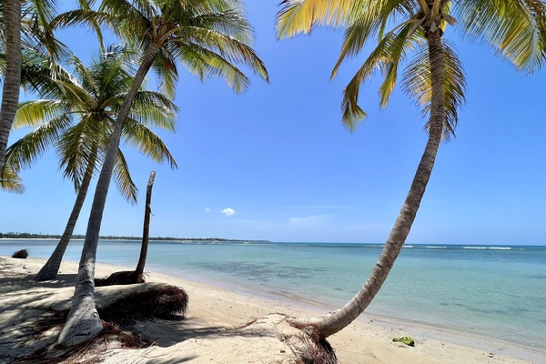 Platja a a prop, gandules de platja i tovalloles de platja