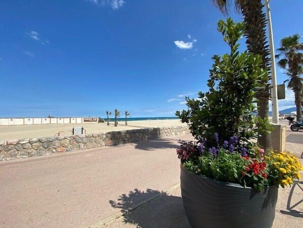 Stroll along the beachfront promenade with a clear view of the ocean.