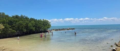 Una spiaggia con acque cristalline, un litorale roccioso e mangrovie.