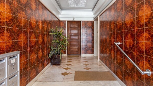 Um corredor com ladrilhos estampados, uma porta de madeira, um vaso com planta, um corrimão de metal e uma abertura para correspondência.