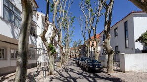 Rua arborizada com carros estacionados e edifícios de ambos os lados.