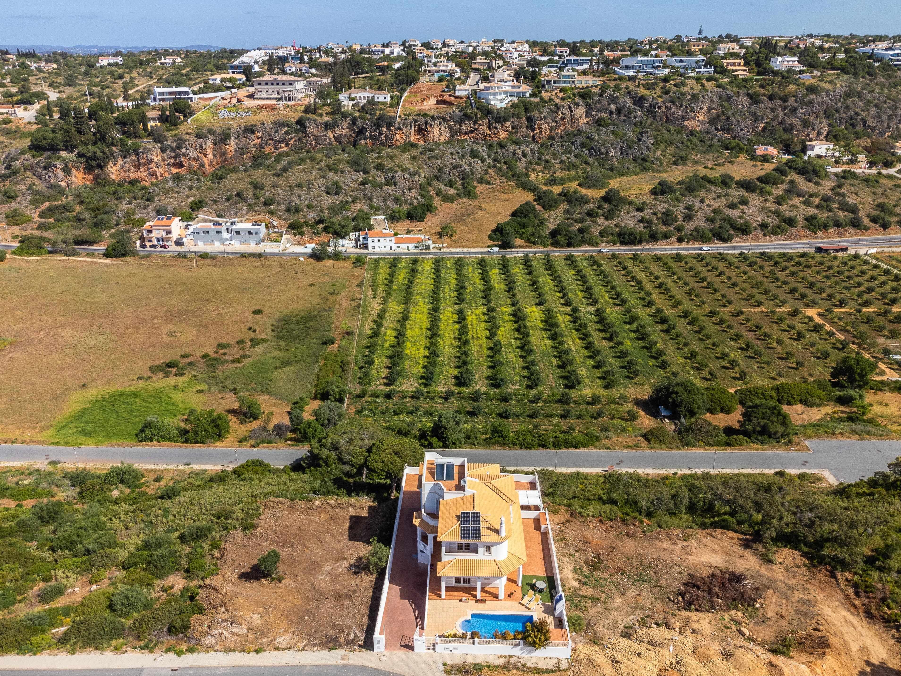A large house with a swimming pool, surrounded by a vineyard, with a road and other houses in the background.
