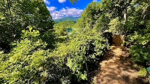 A narrow, shaded path through dense greenery, leading to a structure with a green roof. - Great Grandfather View - hot tub, fire pit, family games, all bedrooms on main level, views (Banner Elk)