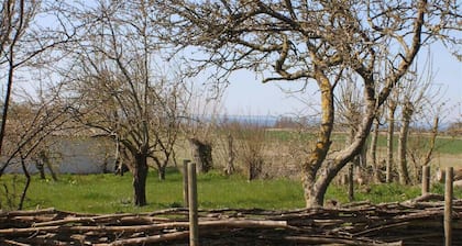 Cozy country house on Ærø