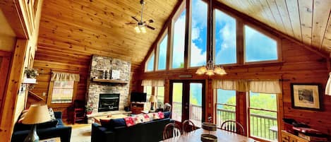 Smart TV, fireplace, books