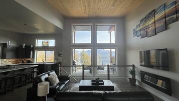 Smart TV, fireplace, books