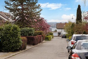 Une rue résidentielle bordée de voitures garées, avec des haies soigneusement taillées et un grand arbre aux fleurs roses.