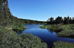 Terrain de l’hébergement 