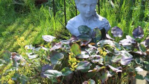 Un jardín con valla metálica, una estatua blanca y abundante vegetación.