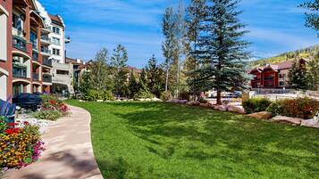 Terrain de l’hébergement