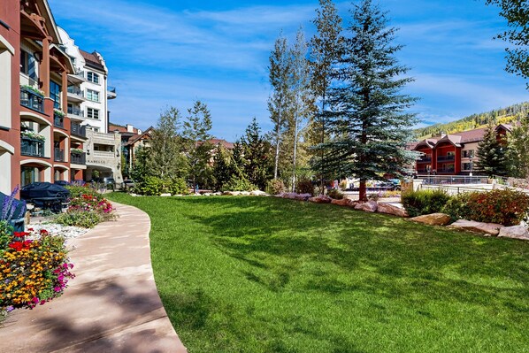 Terrain de l’hébergement 