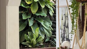 Une terrasse en bois avec un mur en pierre et une plante suspendue.