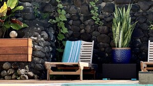 Un espace aménagé au bord de la piscine, avec un mur en pierre, des chaises longues et des plantes en pot.