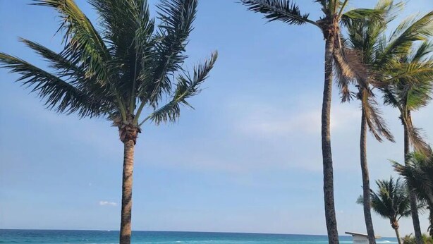 A beach with palm trees, a sandy shore, and the ocean. - The Royal Oasis heated pool (Lake Worth)