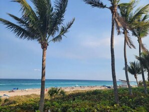 A beach with palm trees, a sandy shore, and the ocean. - The Royal Oasis heated pool (Lake Worth)
