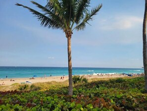 Playa en los alrededores y toallas de playa 