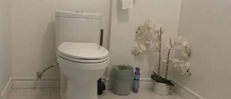A bathroom with a toilet, a trash can, a trash bag, and a potted orchid plant.