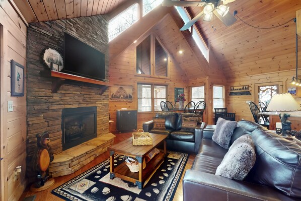 TV, fireplace, books, computer monitors