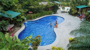 Une piscine entourée d’une végétation tropicale luxuriante, dotée d’un bord incurvé et agrémentée d’une petite cascade.