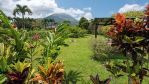 A lush garden with a variety of tropical plants and a view of a mountain in the background. - Sueno Dorado Hot Springs Hotel (La Fortuna)