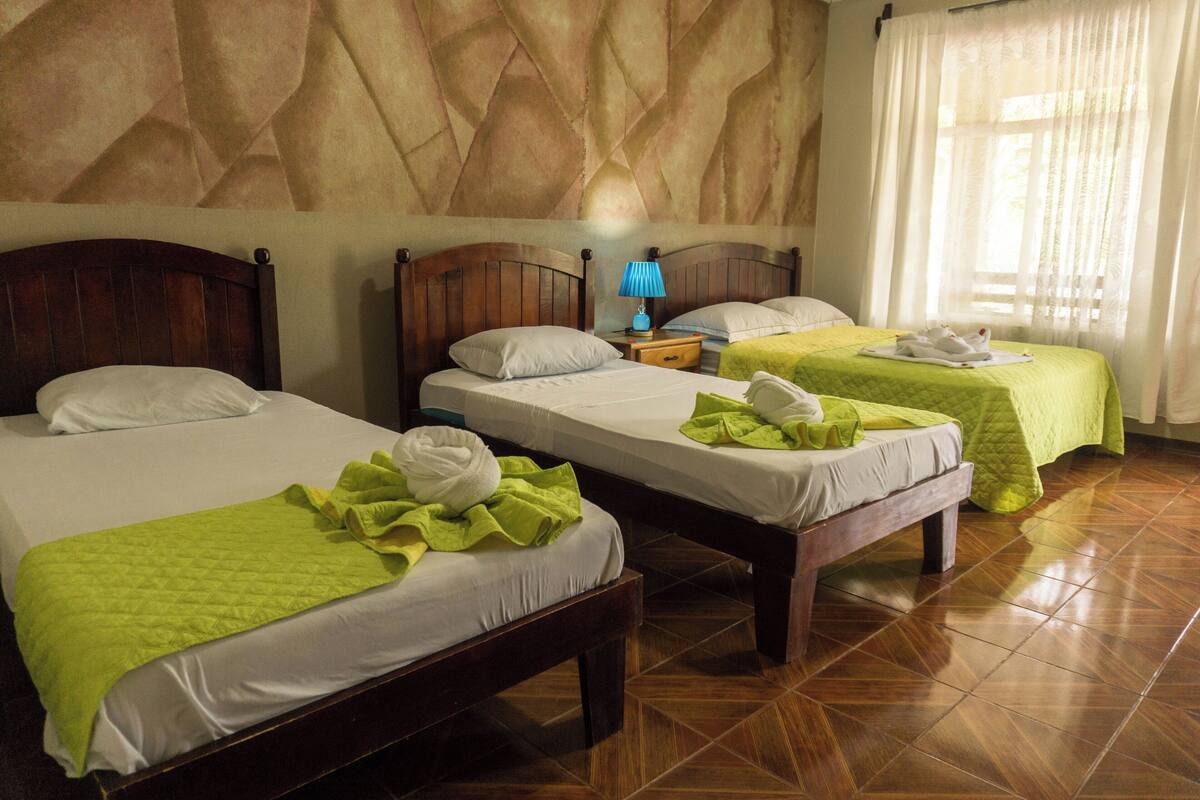 Une chambre d’hôtel avec deux lits simples, une table de chevet avec une lampe et une grande fenêtre avec des rideaux légers.