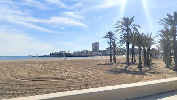 Una spiaggia con palme, una rete da pallavolo e un edificio sullo sfondo.