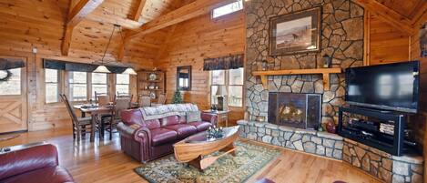 Télévision, cheminée, jeux vidéo, lecteur de DVD