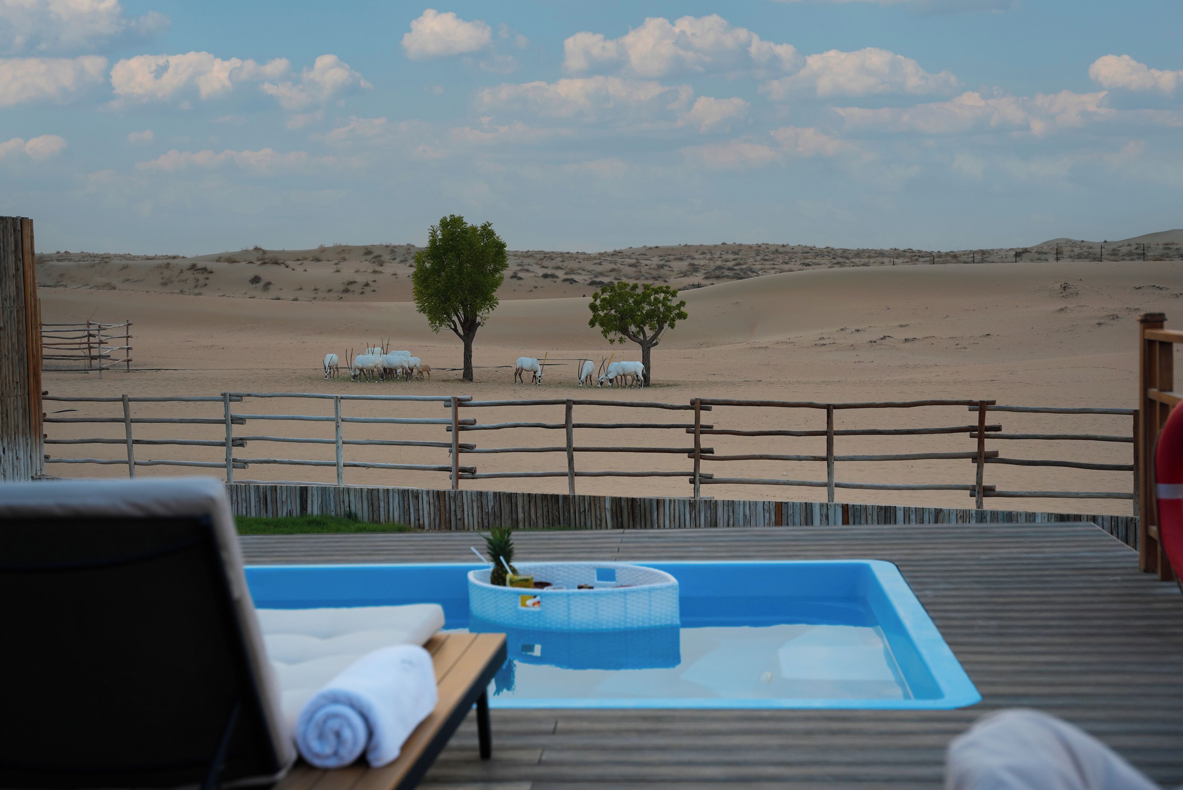 Foto - Al Marmoom Oasis Luxury Experiential Desert Domes