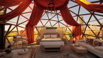 Down comforters, free minibar, free WiFi, bed sheets