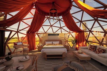 Down comforters, free minibar, free WiFi, bed sheets