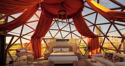 Al Marmoom Oasis Luxury Experiential Desert Domes