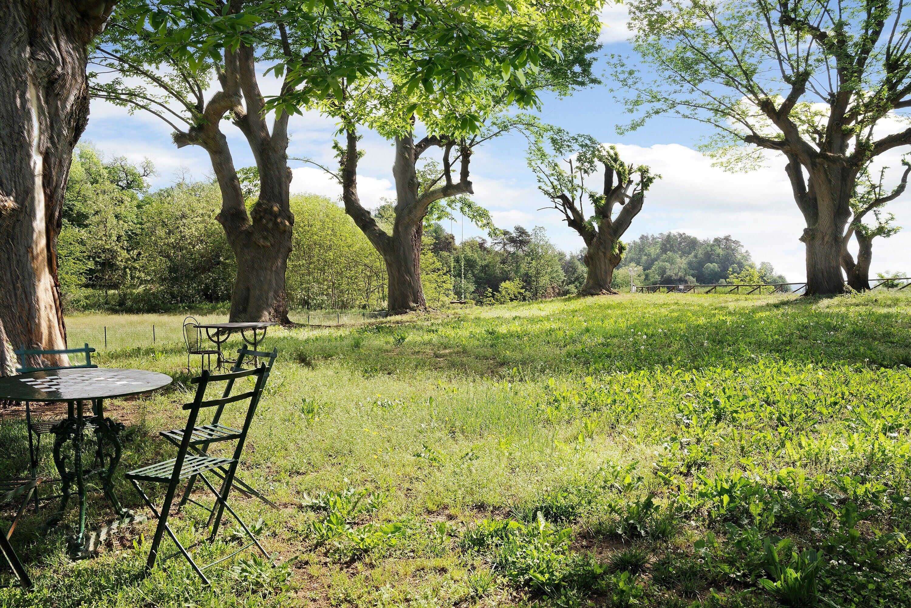 A table and chairs set outdoors with large trees in the background.