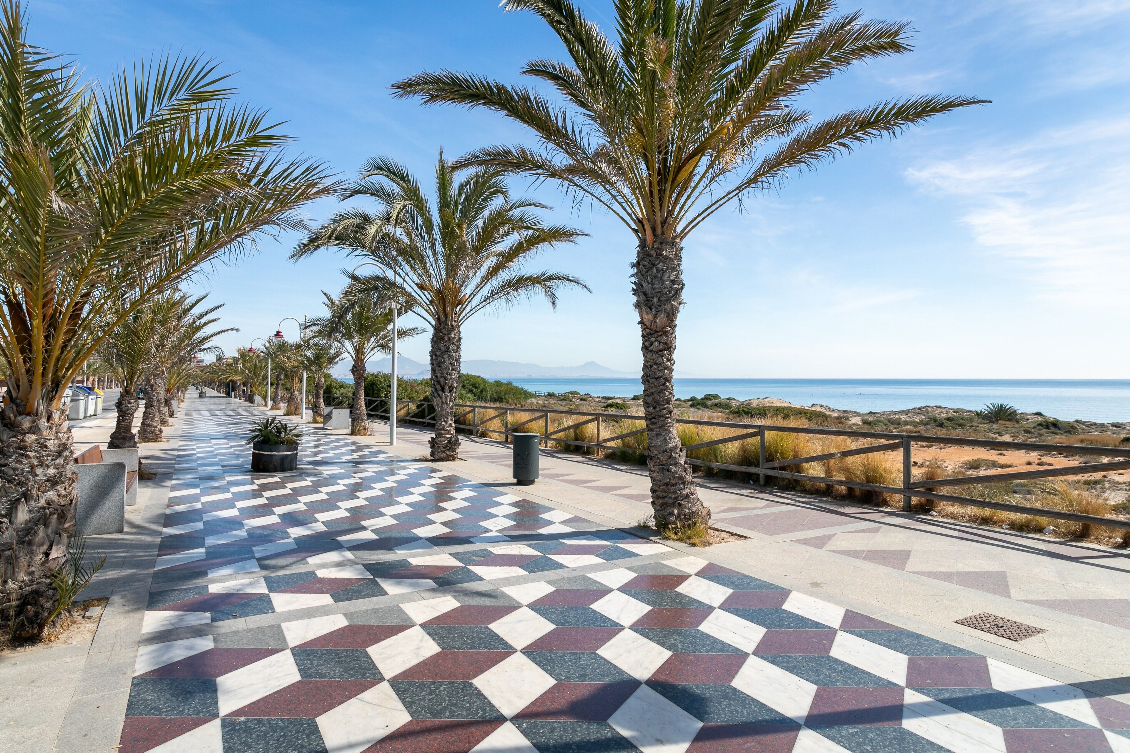 Un sendero pavimentado con palmeras, un diseño de cuadros y vistas al mar.