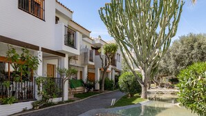 Une cour avec une piscine, des bâtiments blancs et un grand cactus.