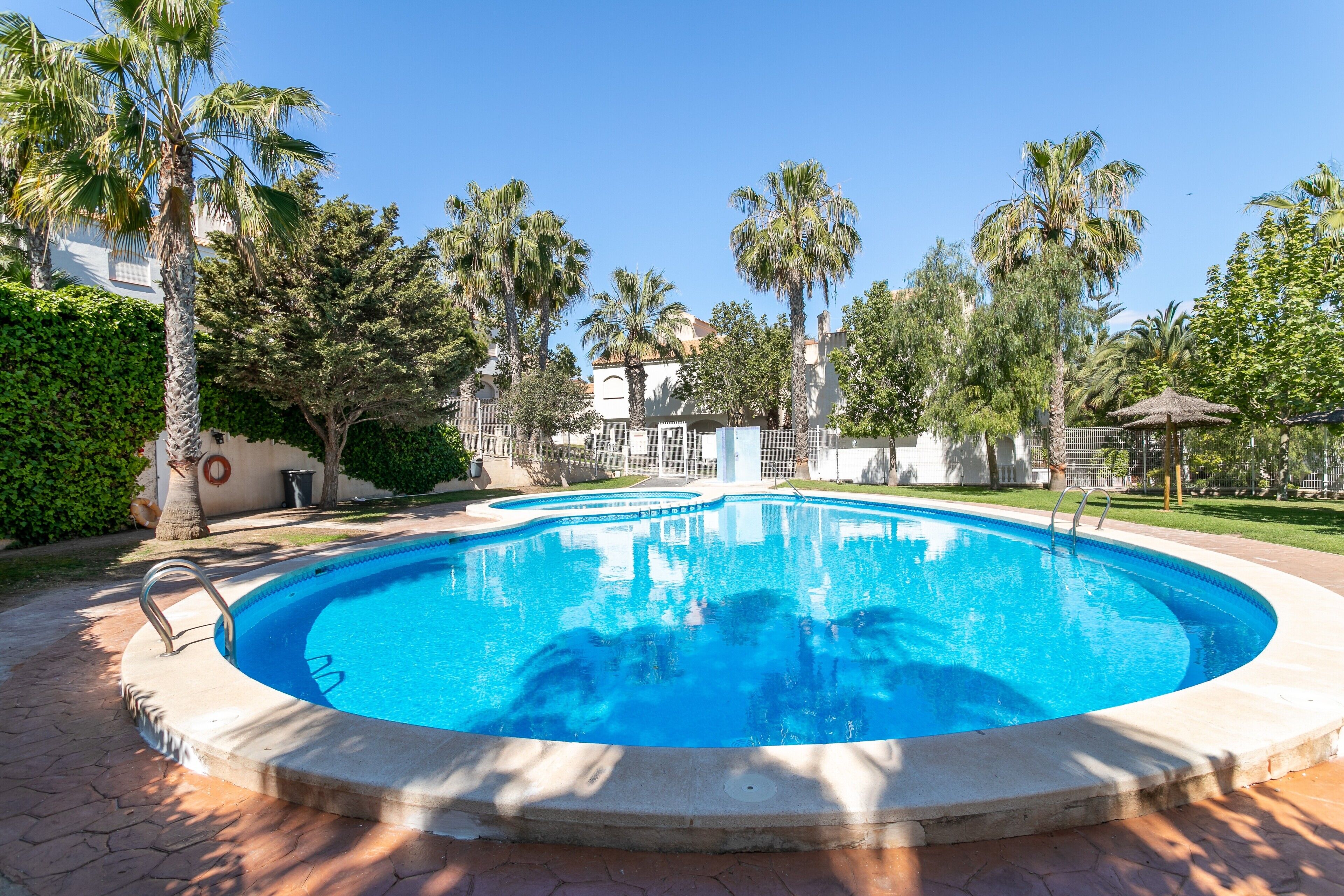 A swimming pool with a curved edge, surrounded by palm trees and a building with a dome in the background.