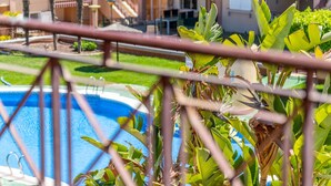 Una piscina rodeada de exuberante vegetación, cielo despejado y un edificio al fondo.