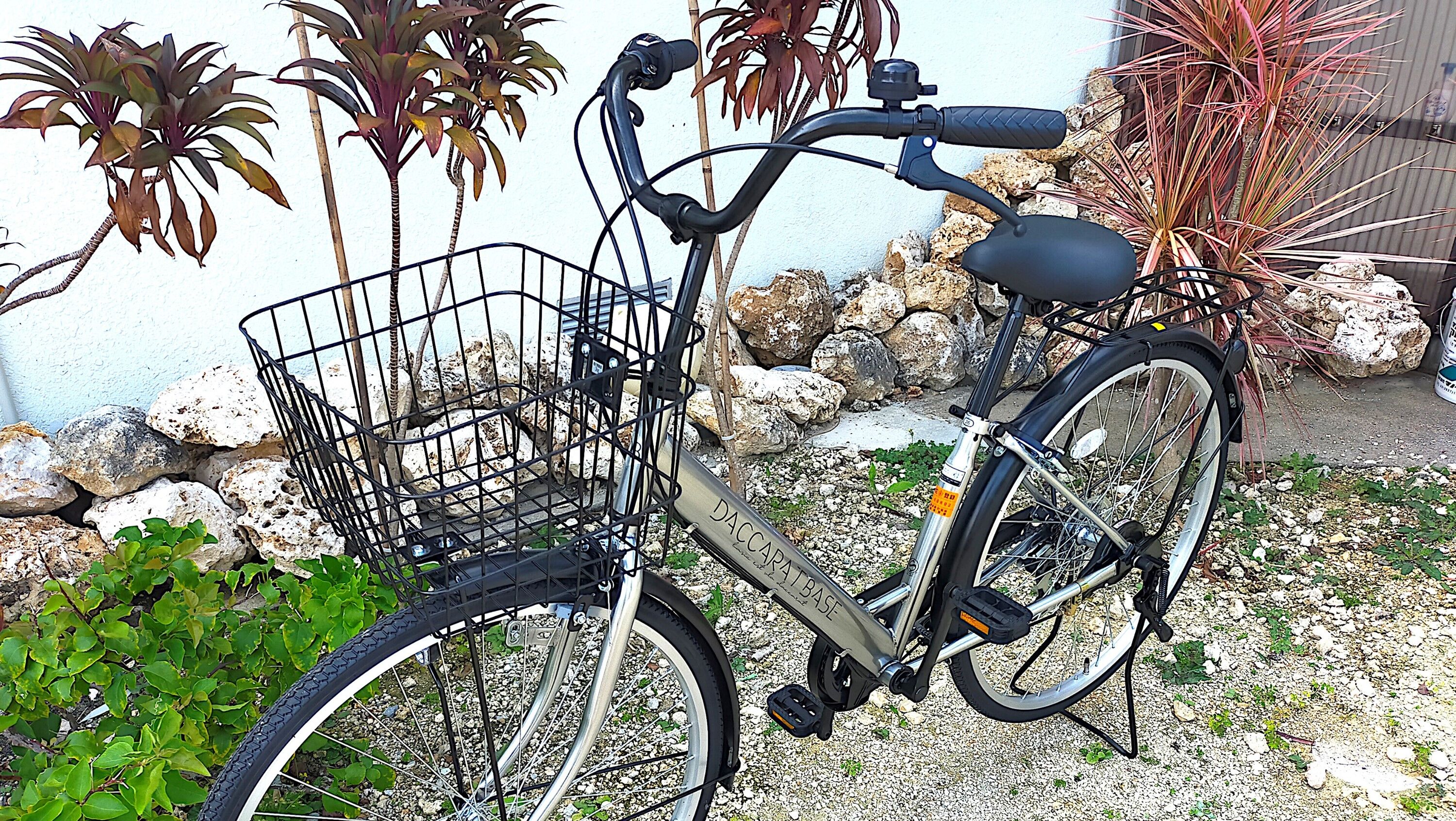 A bicycle with a front basket, parked on a gravel surface with rocks and plants around.