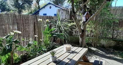 Charming House Near Surf Spots - Sleeps 4