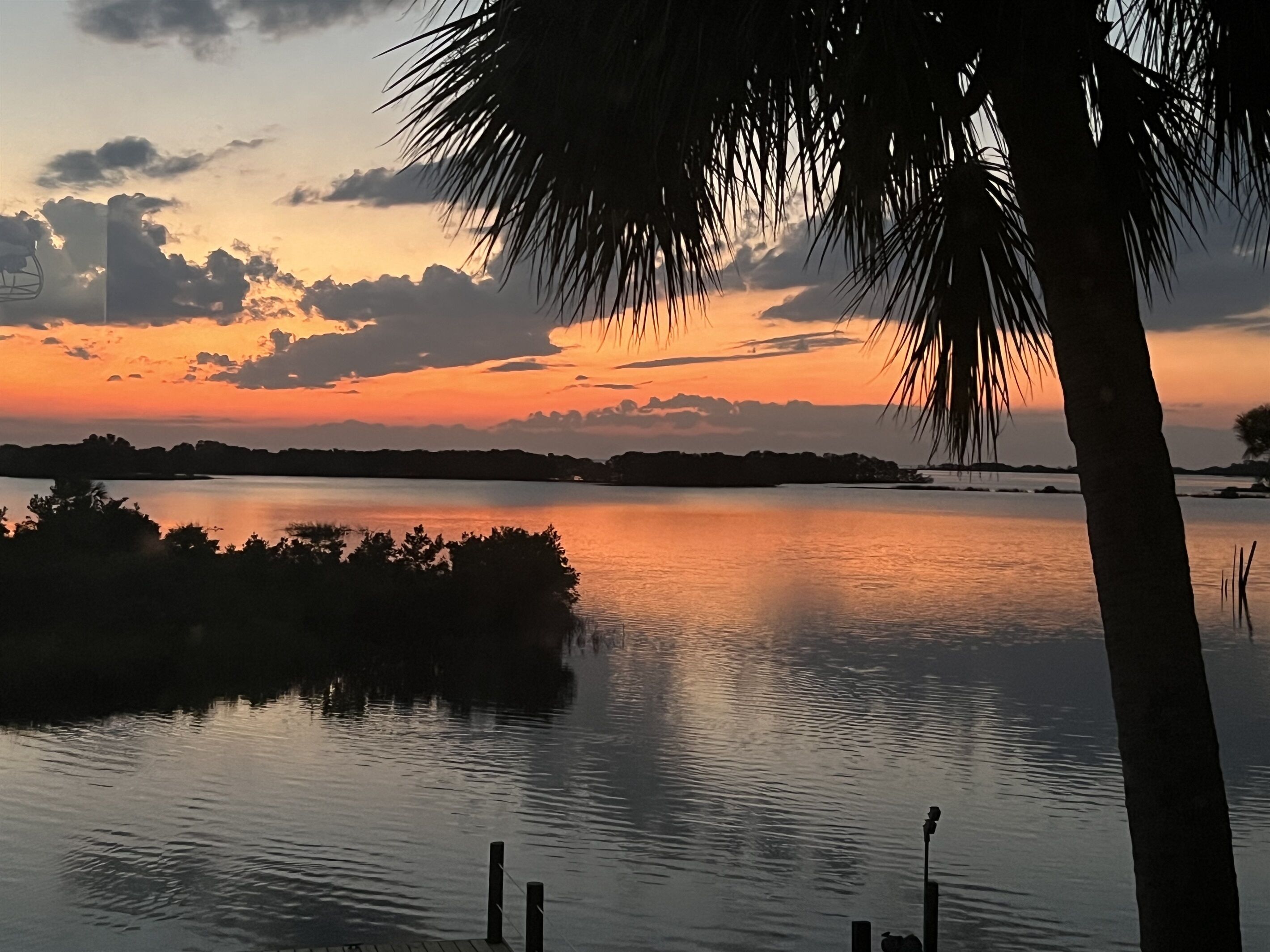 A calm lake at sunset with a silhouette of a palm tree in the foreground.