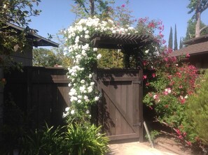 Exterior detail - Entire house with pool (Los Angeles)