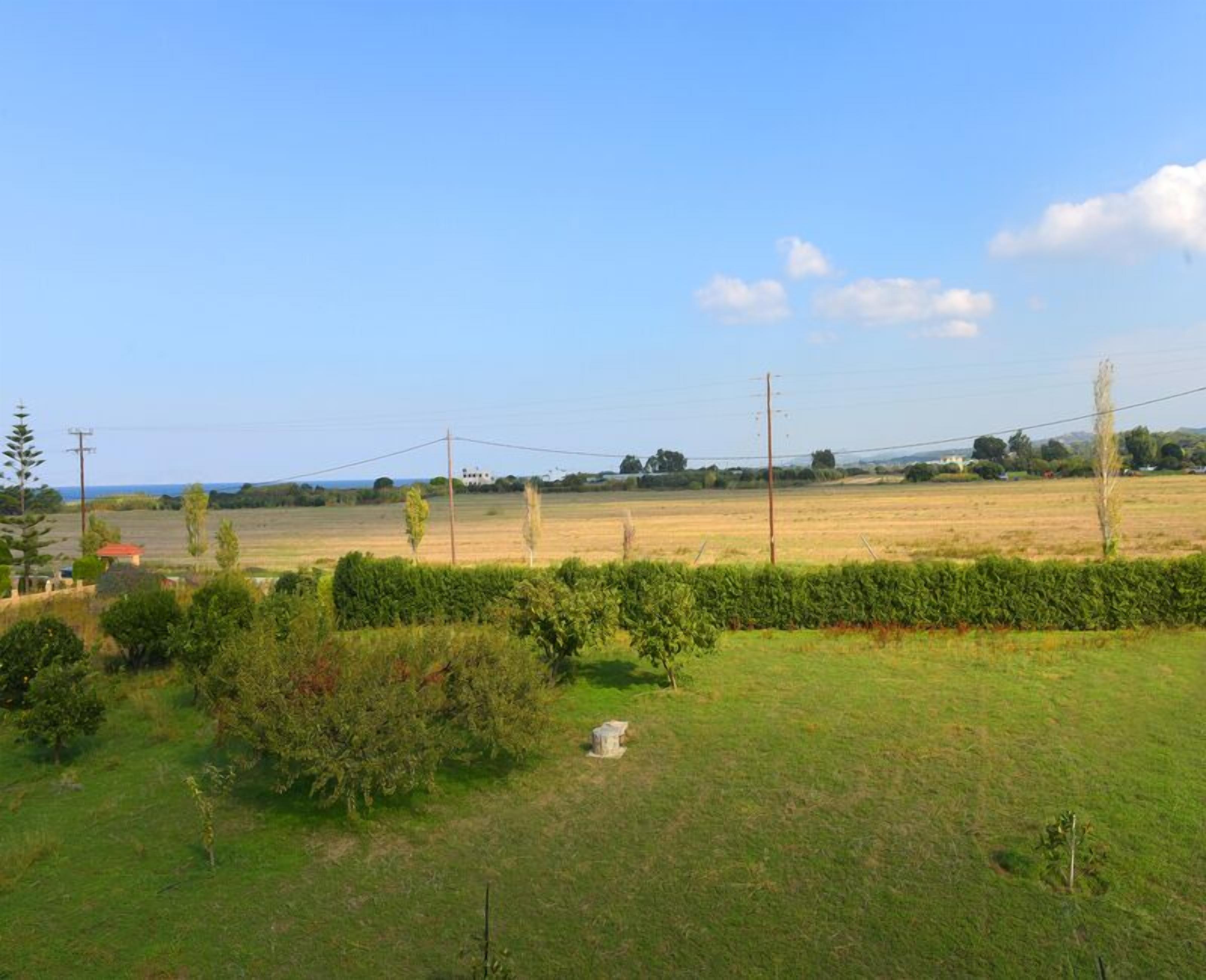 A rural landscape with a clear sky, a field, and a hedge in the foreground.