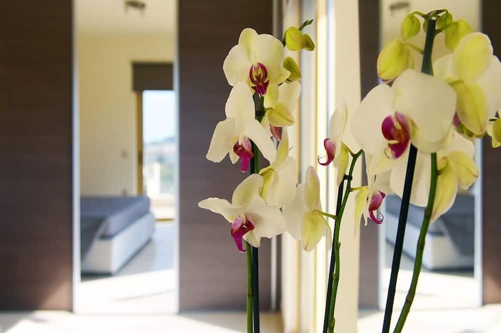 Stelia Luxury Apartments - Σορωνή
